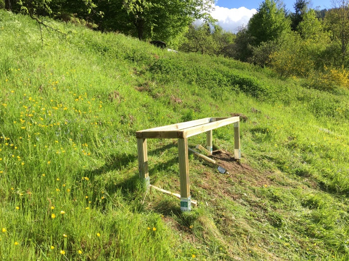 Beutenbock im Schwarzwald Kräuterwiese