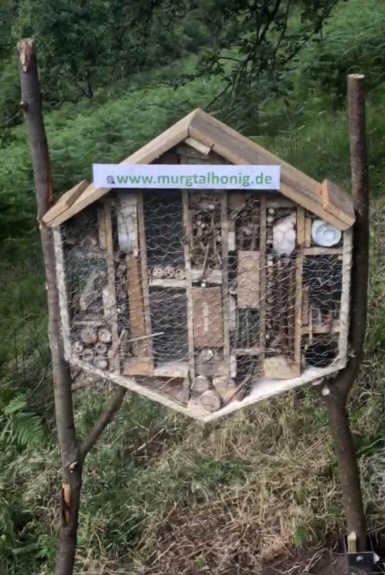 -Anleitung Insektenhaus bauen- Insektensterben – Meinungen
